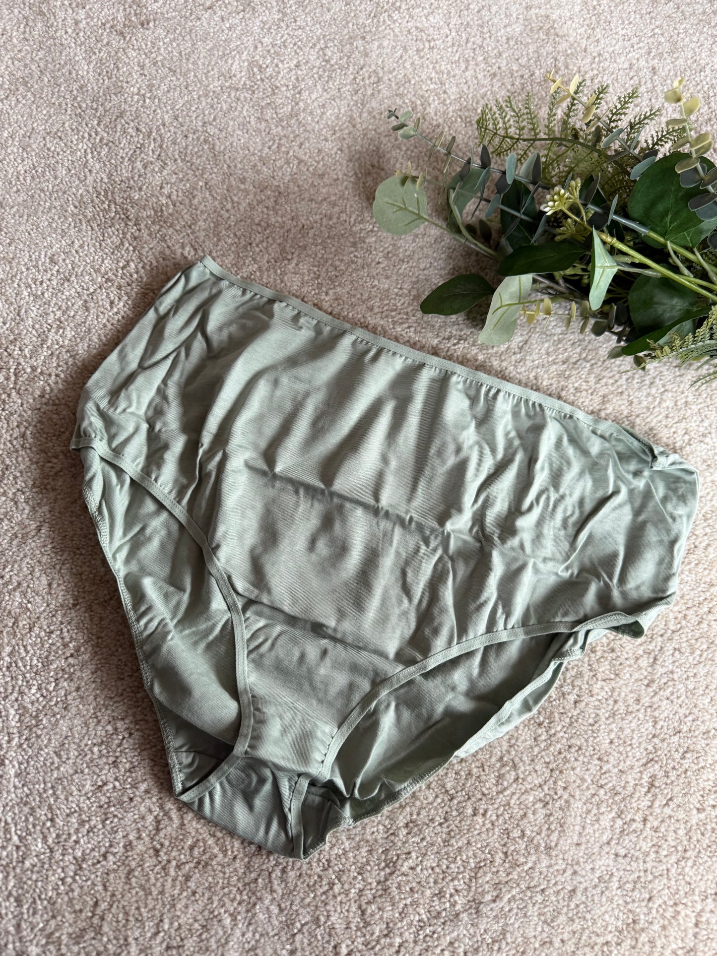 4 Pack Full Briefs
